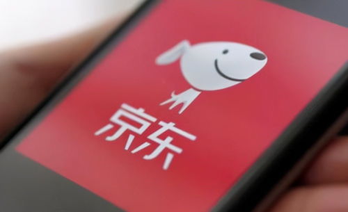 京東關(guān)聯(lián)企業(yè)布局?jǐn)?shù)字科技新領(lǐng)域，動(dòng)漫動(dòng)畫設(shè)計(jì)及數(shù)據(jù)處理成新增長(zhǎng)點(diǎn)